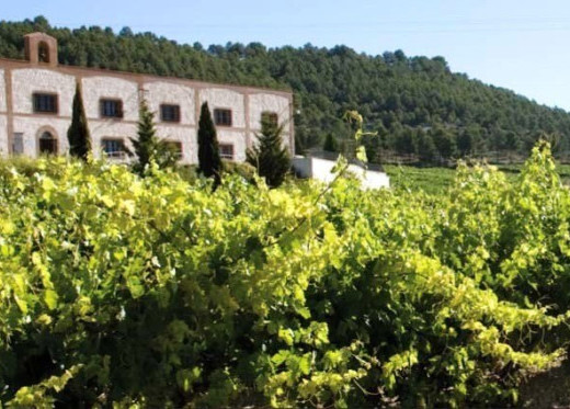 Bodega Matarromera, Winzer aus Ribero del Duero